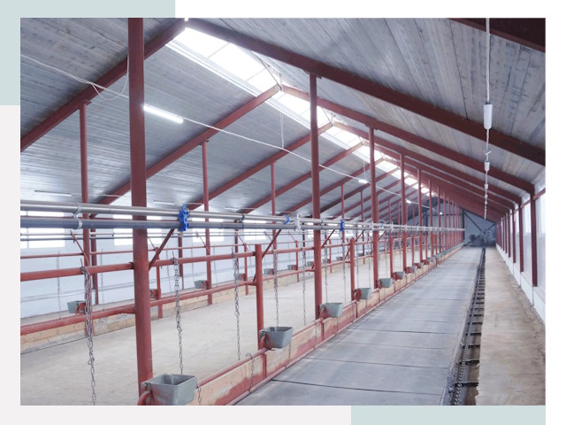 Строительство коровников в Владимире от 623 руб.